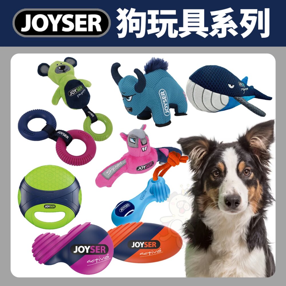 250902165930-JOYSER 狗玩具 不倒翁 骨頭 圈圈 飛盤 橄欖球 耐咬球 耐咬啾啾球 發聲玩具 啾啾球 耐咬玩具『WANG』