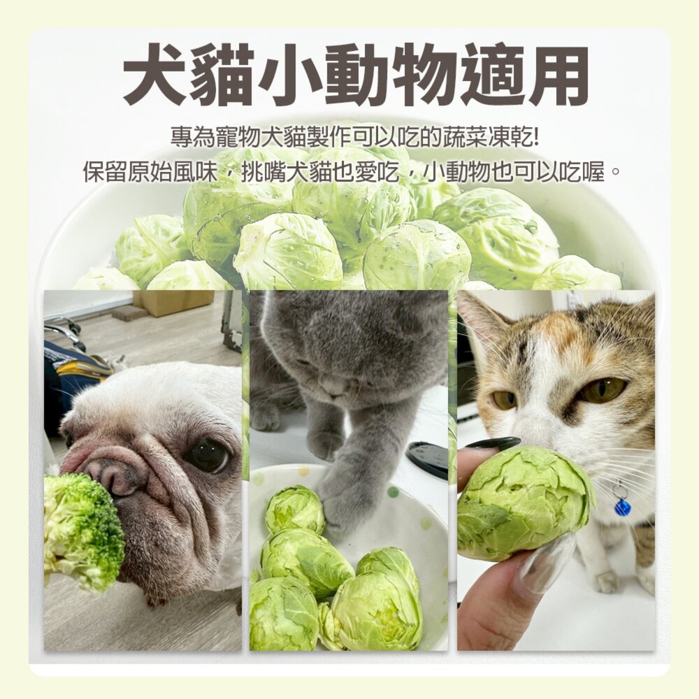韓國寵物凍乾 蔬菜凍乾 綠花椰菜凍乾15g 高麗菜凍乾30g 蔬菜乾 狗凍乾 貓凍乾 倉鼠 兔子 小動物零食『WANG』-圖片-8