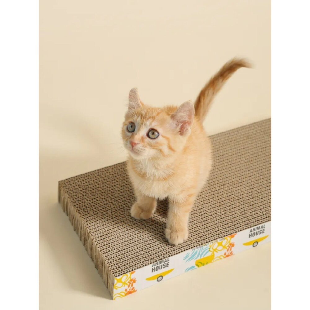 喵仙兒 印花貓抓板 流線印花 平面印花 平面貓抓板 耐抓 耐磨 可睡 可玩 可抓 貓抓板『WANG』-圖片-3