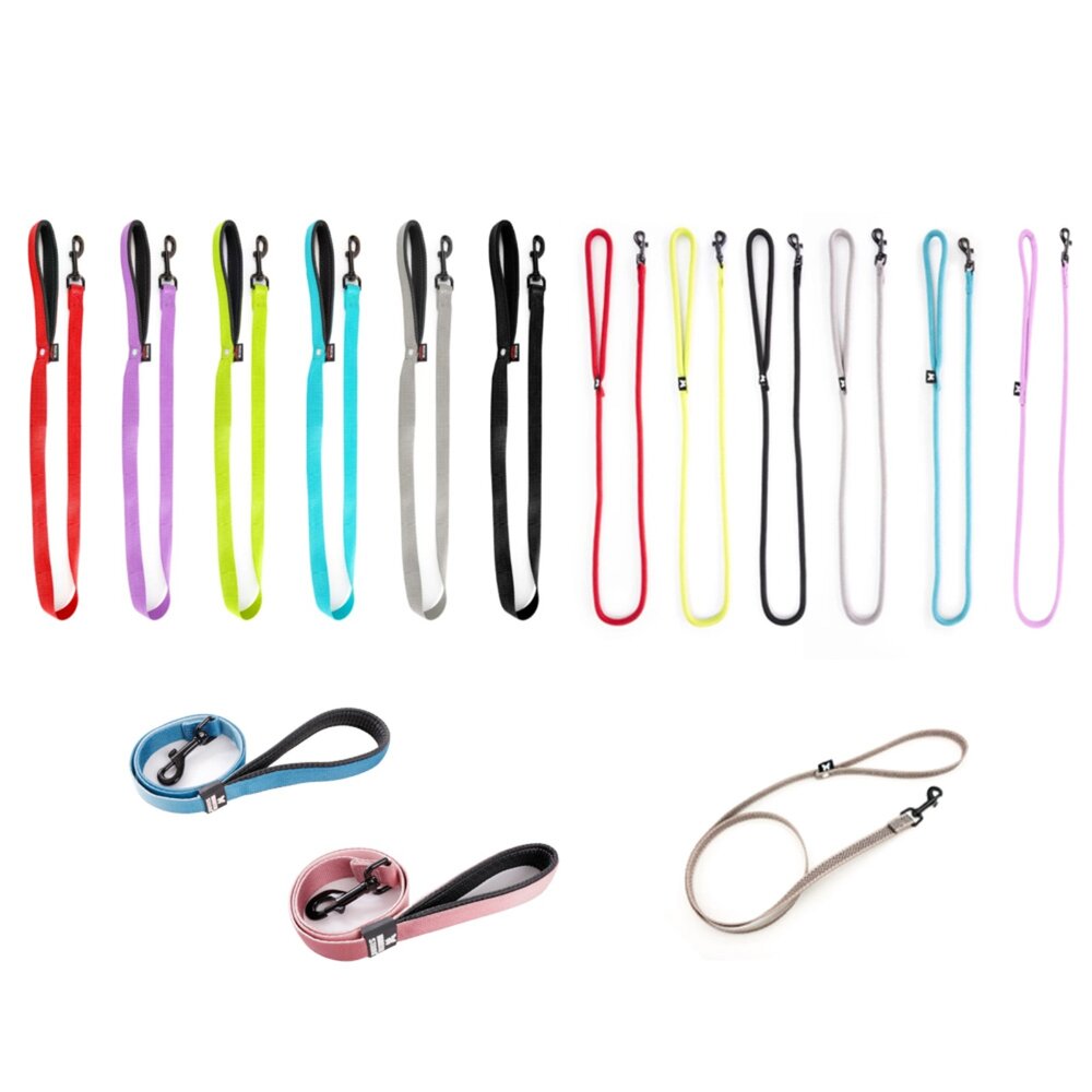 Martin 馬汀 經典尼龍|馬卡龍|特多點點|素色包芯牽繩 S-L號 犬用牽繩 狗狗牽繩 寵物牽繩『WANG』-圖片-1