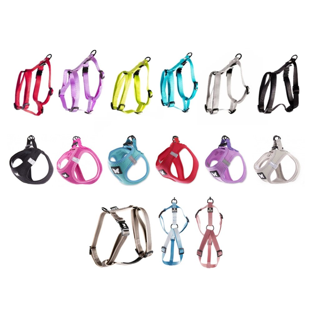 Martin 馬汀 經典尼龍H型|特多點點H型|漸層馬卡龍H型|經典網狀透氣|胸背帶 犬用胸背帶 寵物胸背帶『WANG-圖片-1