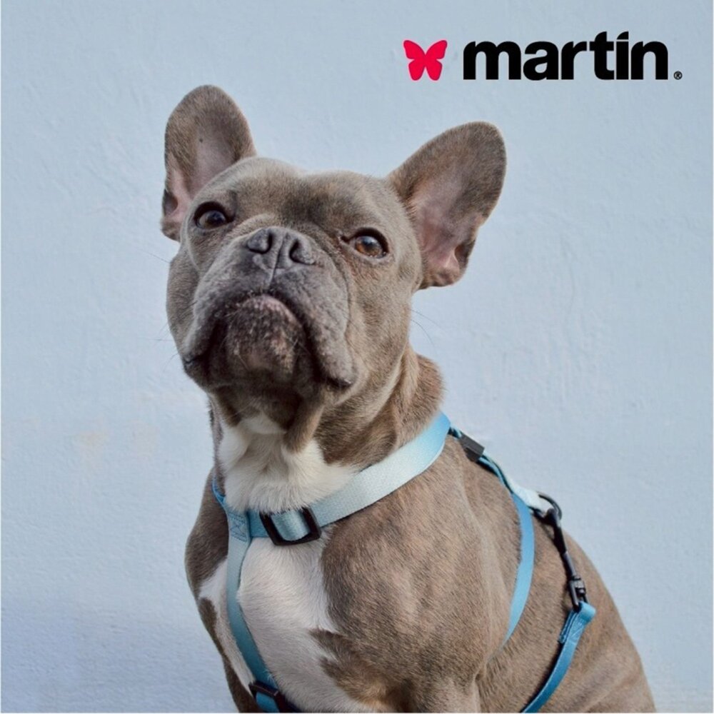 Martin 馬汀 經典尼龍H型|特多點點H型|漸層馬卡龍H型|經典網狀透氣|胸背帶 犬用胸背帶 寵物胸背帶『WANG-圖片-4