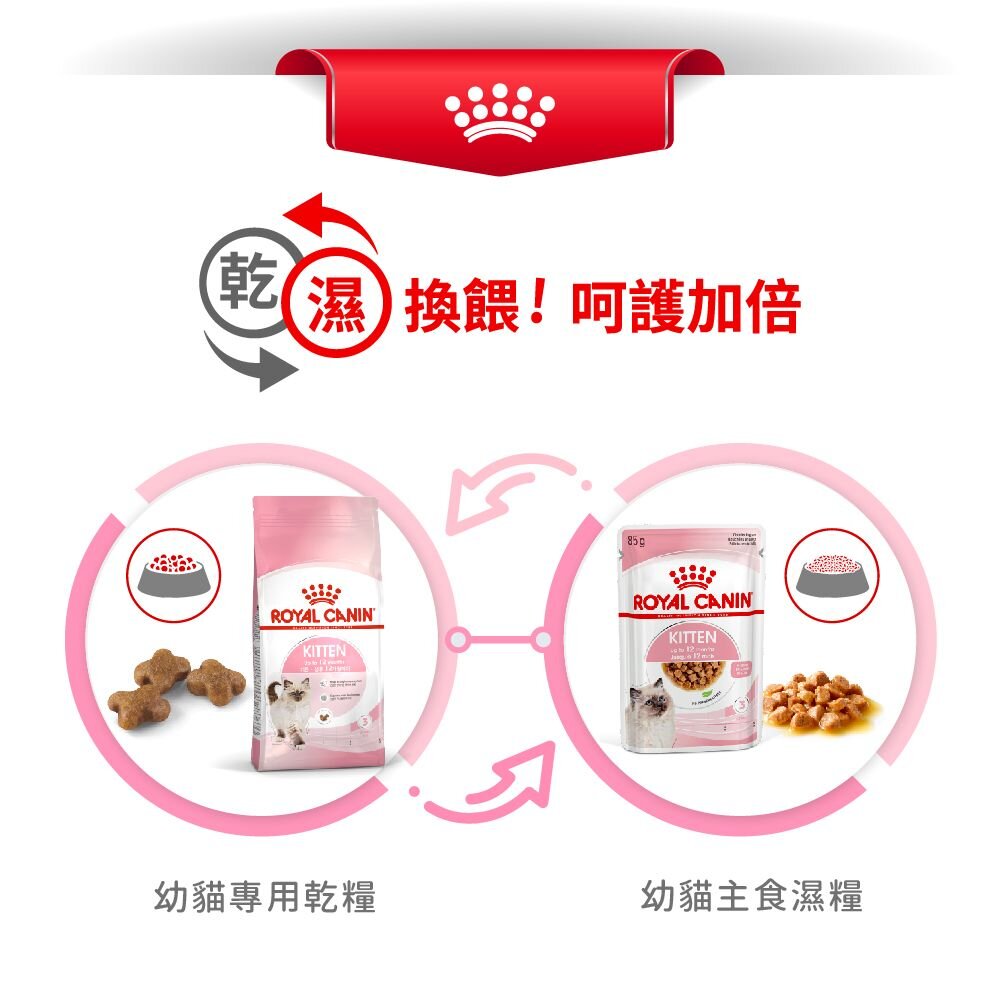 Royal Canin 法國皇家 K36 幼貓專用乾糧 全規格 2KG 4KG 10KG 幼貓『WANG』-圖片-2