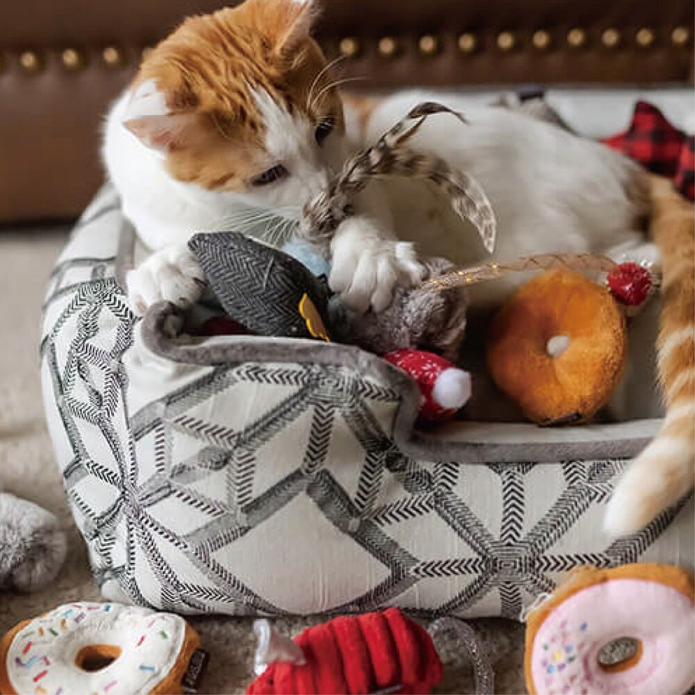 P.L.A.Y. 狂野貓咪-輕食系列 美食系列 假期系列 小動物系列 萬聖節系列 寵物陪伴 貓草玩具 貓玩具『WANG』-圖片-2