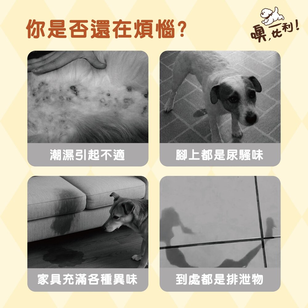 O,Bli! 噢,比利! 立體菱格紋尿布墊【6包組】菱格導流 瞬吸乾爽 堅韌厚實 防滲底膜 寵物尿布墊『WANG』-圖片-3