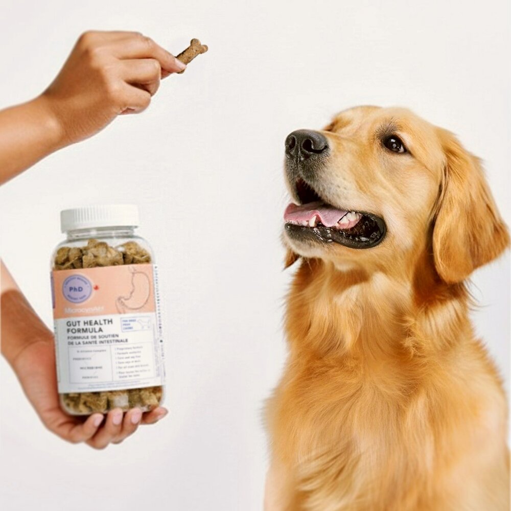 MicrocynAH 麥高臣 犬貓保健軟嚼肉塊 益健腸 益健毛 益健齒 寵物保健品 寵物保健零食 狗零食 貓零食『WAN-圖片-6