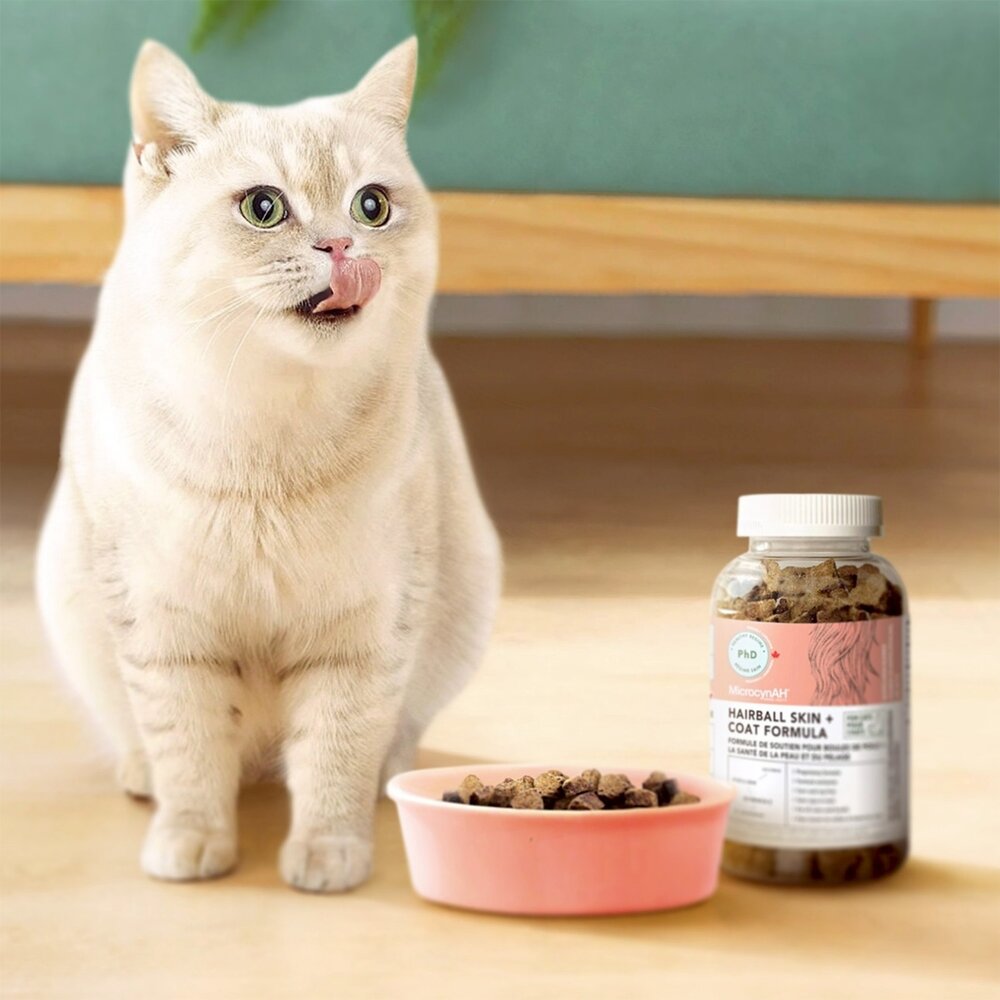 MicrocynAH 麥高臣 犬貓保健軟嚼肉塊 益健腸 益健毛 益健齒 寵物保健 保健零食 狗零食 貓零食『WANG』-圖片-7