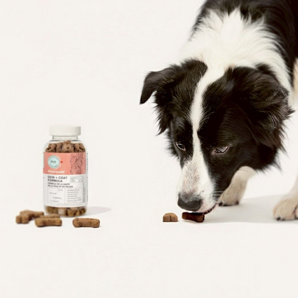 MicrocynAH 麥高臣 犬貓保健軟嚼肉塊 益健腸 益健毛 益健齒 寵物保健 保健零食 狗零食 貓零食『WANG』-圖片-8