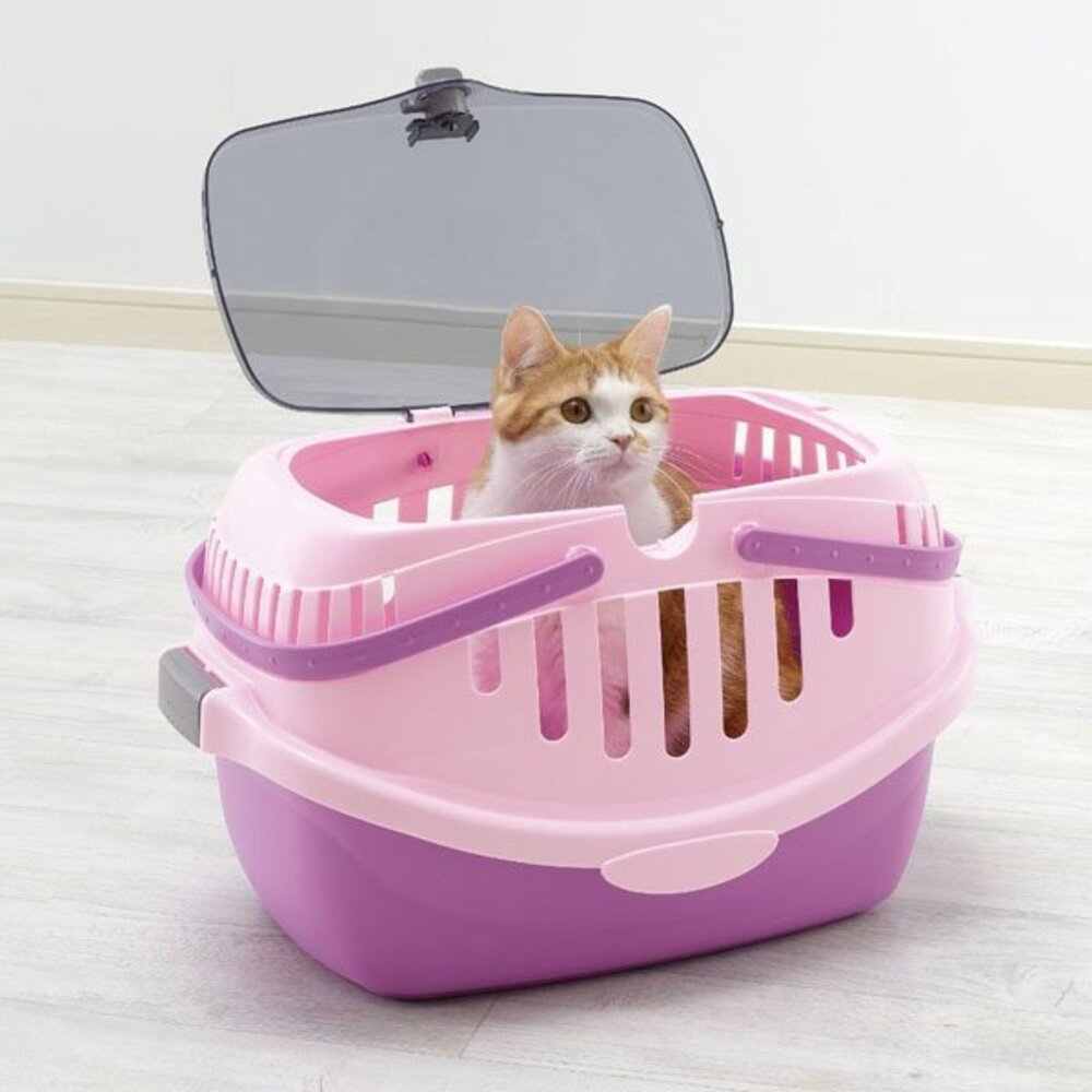 RICHELL PICO 休閒提籃(無軟墊) 58561 寵物提籃 外出提籃 原廠公司貨『WANG』-圖片-5