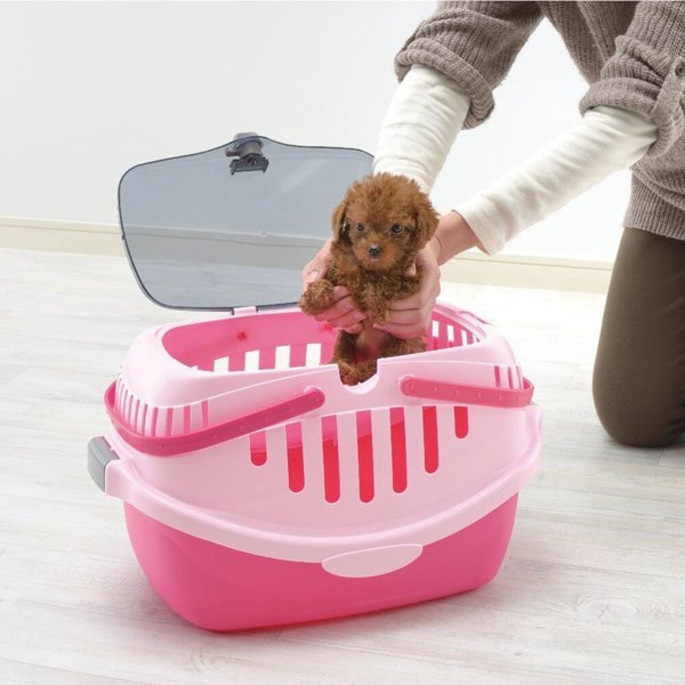 RICHELL PICO 休閒提籃(無軟墊) 58561 寵物提籃 外出提籃 原廠公司貨『WANG』-圖片-6