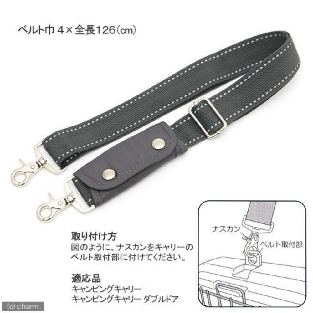 RICHELL PICO 休閒提籃(無軟墊) 58561 寵物提籃 外出提籃 原廠公司貨『WANG』-圖片-9