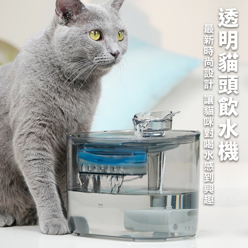 LIFE Pet 透明貓頭流水飲水器2.2L FT666透 附濾芯|餵水器 寵物飲水機 貓咪飲水機 貓狗通用『WANG』-圖片-2