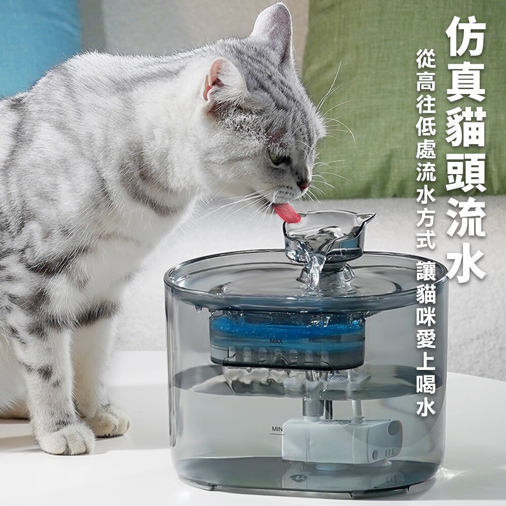 LIFE Pet 透明貓頭流水飲水器2.2L FT666透 附濾芯|餵水器 寵物飲水機 貓咪飲水機 貓狗通用『WANG』-圖片-3