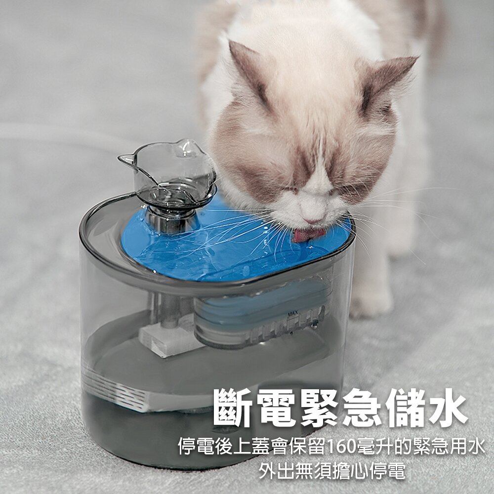 LIFE Pet 透明貓頭流水飲水器2.2L FT666透 附濾芯|餵水器 寵物飲水機 貓咪飲水機 貓狗通用『WANG』-圖片-7