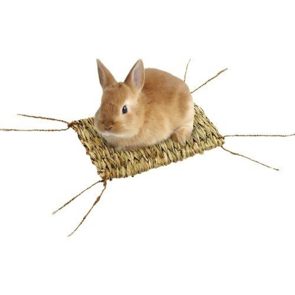 MARUKAN 提摩西草編多用圍片 兔子磨牙牧草墊 麻繩摺疊兔窩 牧草踏墊 木製牧草盒『WANG』-圖片-1