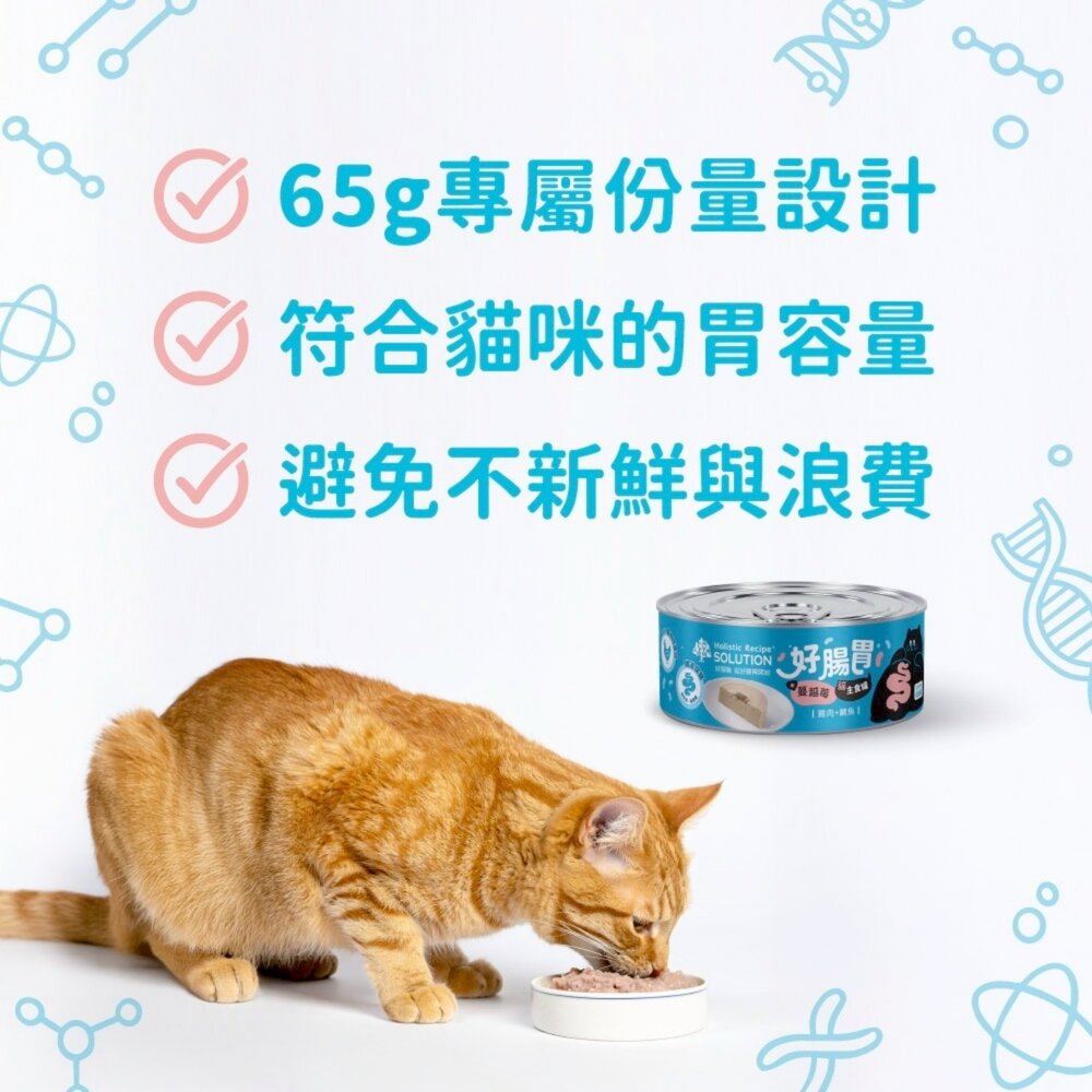 Solution 耐吉斯 好腸胃主食罐 65g【單罐】成幼貓 主食罐 貓罐頭 貓主食 貓濕糧『WANG』-圖片-5