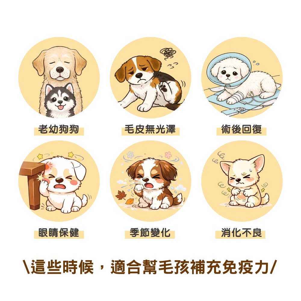 Ms.PET 寵物小姐 犬用保健錠 亮毛護膚 關節 腸胃消化 視力護眼 全齡犬 寵物保健『WANG』-圖片-4