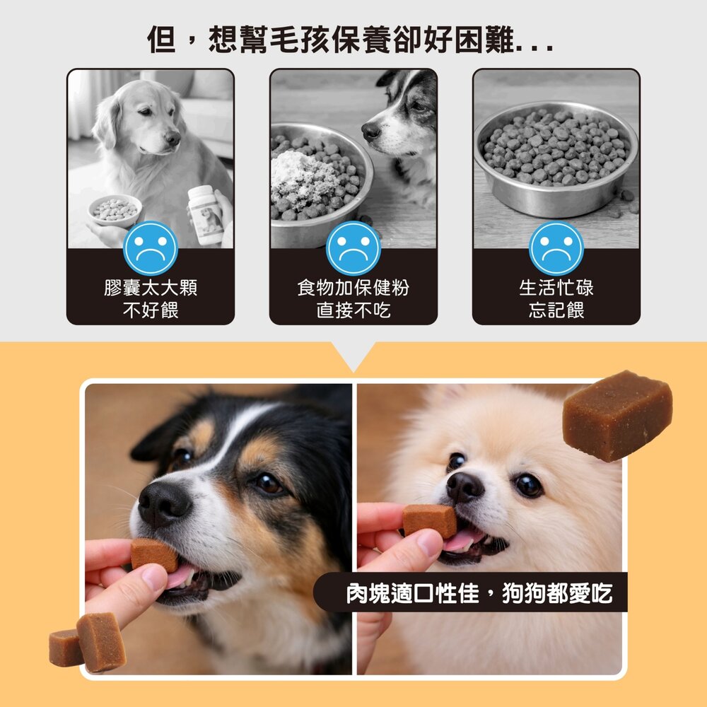 Ms.PET 寵物小姐 犬用保健錠 亮毛護膚 關節 腸胃消化 視力護眼 全齡犬 寵物保健『WANG』-圖片-5