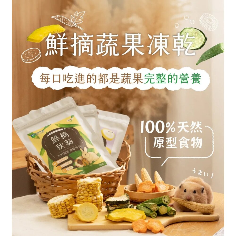 角落特寵 倉鼠零食 鮮摘蔬果凍乾 多種蔬菜 蔬果零食 蔬果凍乾 膳食纖維 小動物零食『WANG』-圖片-3