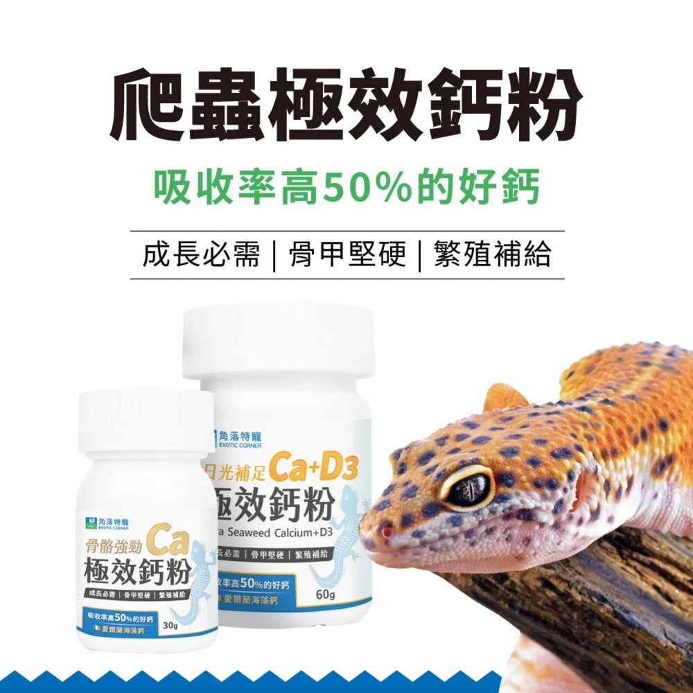 角落特寵 爬蟲鈣粉 爬蟲極效鈣粉 海藻鈣 成長必需 骨甲堅硬 繁殖補給 爬蟲類 小動物保健品『WANG』-圖片-2