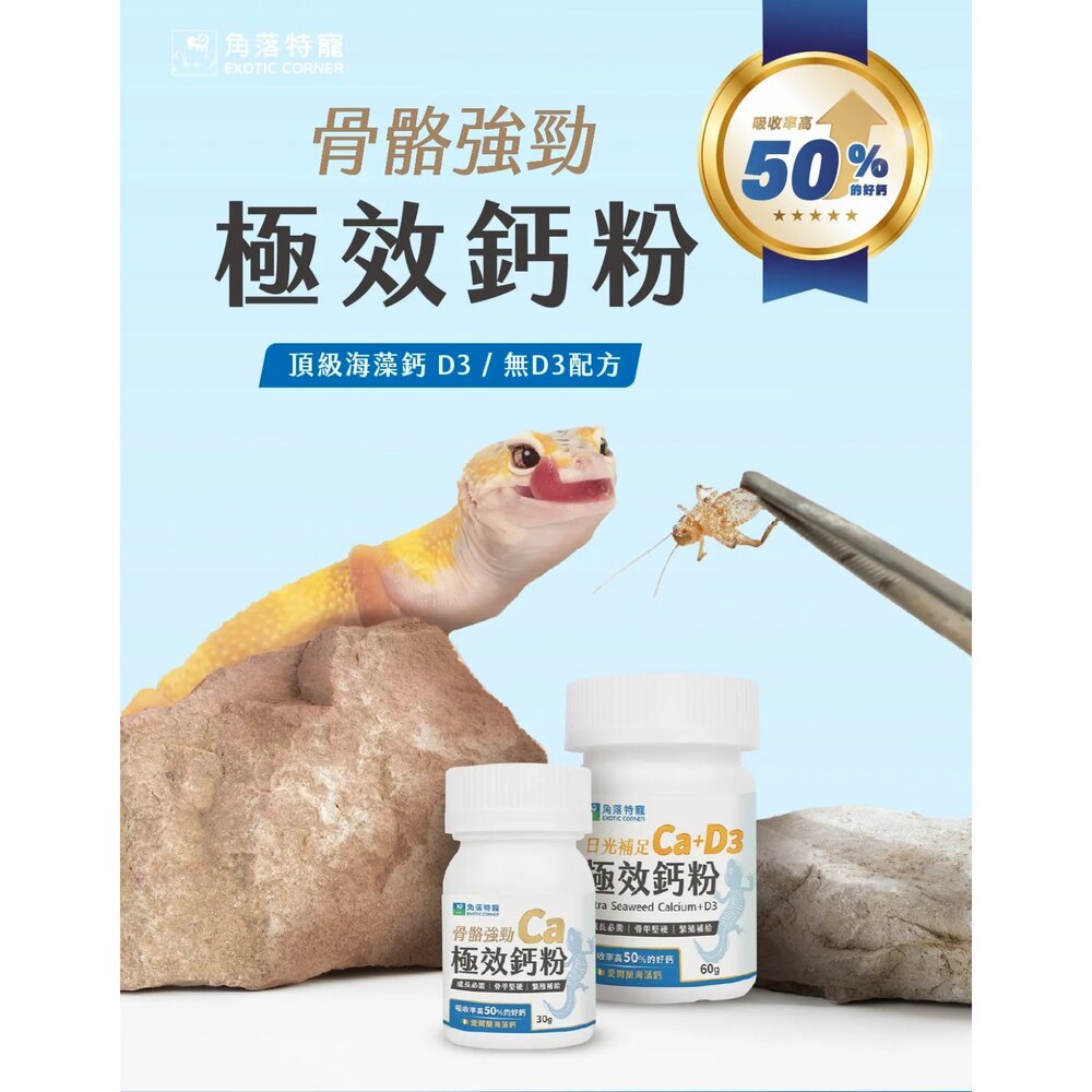 角落特寵 爬蟲鈣粉 爬蟲極效鈣粉 海藻鈣 成長必需 骨甲堅硬 繁殖補給 爬蟲類 小動物保健品『WANG』-圖片-3