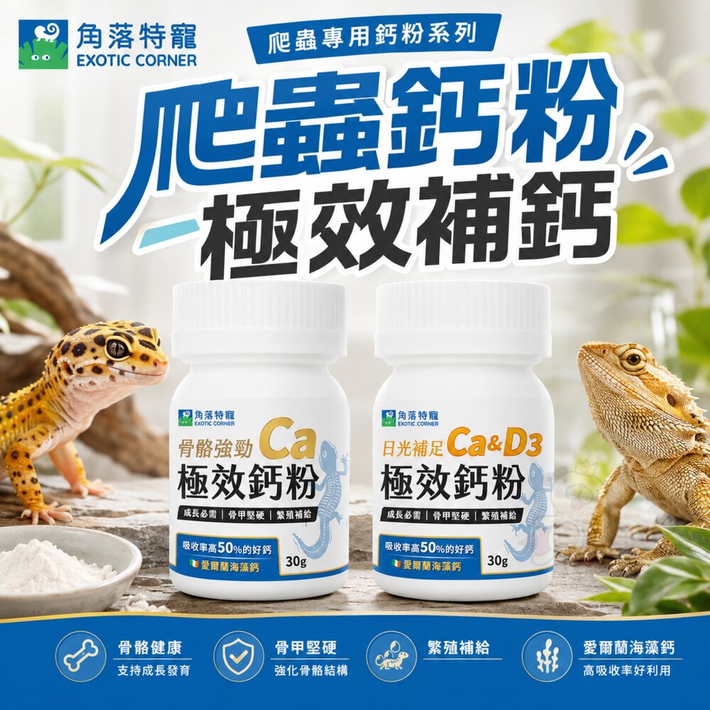 260811142712-角落特寵 爬蟲鈣粉 爬蟲極效鈣粉 海藻鈣 成長必需 骨甲堅硬 繁殖補給 爬蟲類 小動物保健品『WANG』