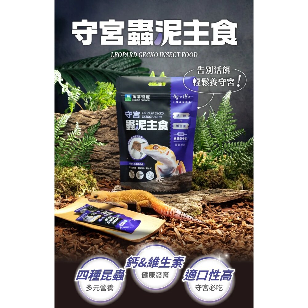 角落特寵 爬蟲類主食 澤龜 陸龜 鬆獅蜥 守宮 昆蟲主食 水果蟲泥主食 昆蟲果泥粉『WANG』-圖片-7