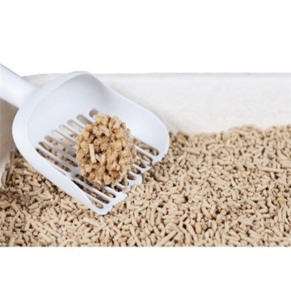 Cature 凱沃 貓砂 全規格 木凝結 豆腐凝結貓砂 豆腐砂 凝結砂 綠沸石 抗菌 貓砂『WANG』-圖片-4