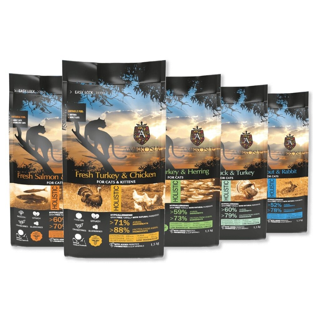 AMBROSIA 安柏希雅 無穀鮮肉貓糧 100g 幼母貓 成貓 全齡貓 貓飼料『WANG』-圖片-1