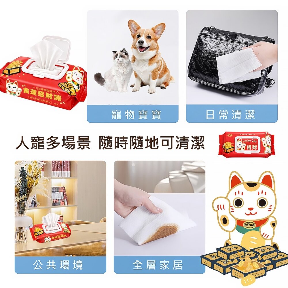 Lucky Cat 招財 金運招財咪濕紙巾 80抽 純水 加厚 耐拉扯 不變形 鎖水保濕 寵物濕紙巾『WANG』-圖片-3