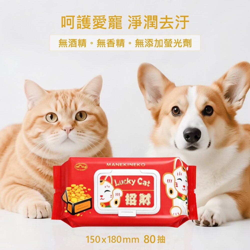 Lucky Cat 招財 金運招財咪濕紙巾 80抽 純水 加厚 耐拉扯 不變形 鎖水保濕 寵物濕紙巾『WANG』-圖片-3
