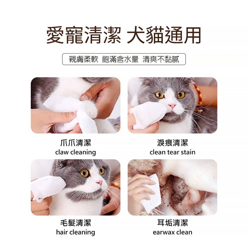 Lucky Cat 招財 金運招財咪濕紙巾 80抽 純水 加厚 耐拉扯 不變形 鎖水保濕 寵物濕紙巾『WANG』-圖片-9