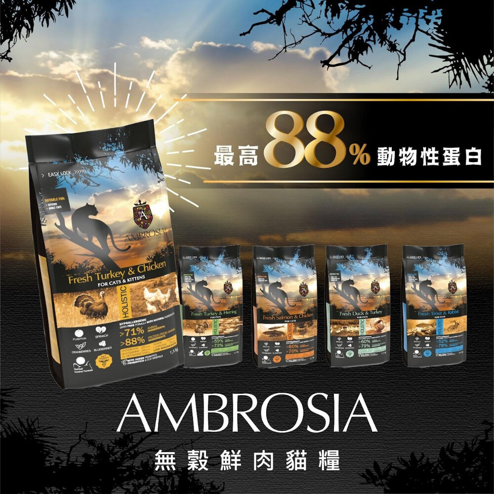 AMBROSIA 安柏希雅 無穀鮮肉貓糧1.5kg-5kg 幼母貓 成貓 全齡貓 貓飼料『WANG』-圖片-4