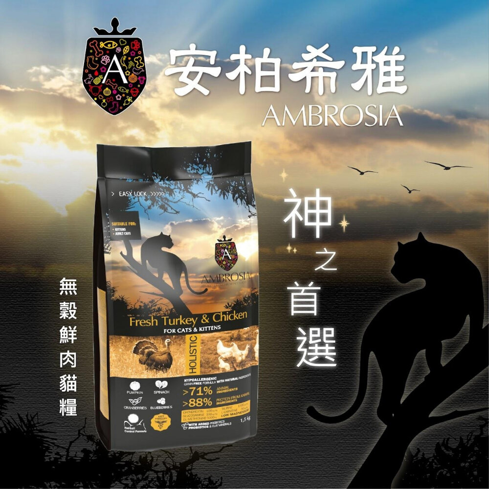 AMBROSIA 安柏希雅 無穀鮮肉貓糧1.5kg-5kg 貓乾糧 貓主食 貓飼料『WANG』-圖片-6