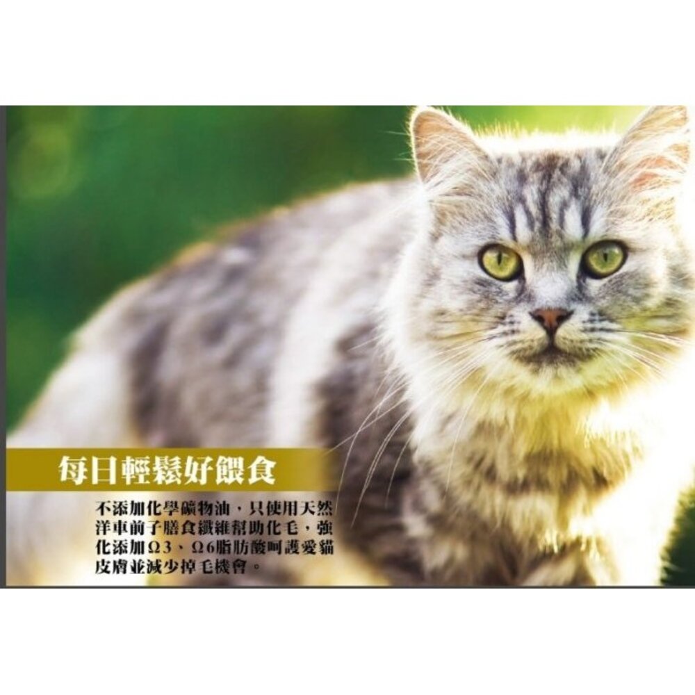 PetNaturals 寶天然 貓嚼錠 皮膚好好|腸胃好好|心情好好|免疫好好|排尿好好|關節好好|活力好好『WANG』-圖片-10
