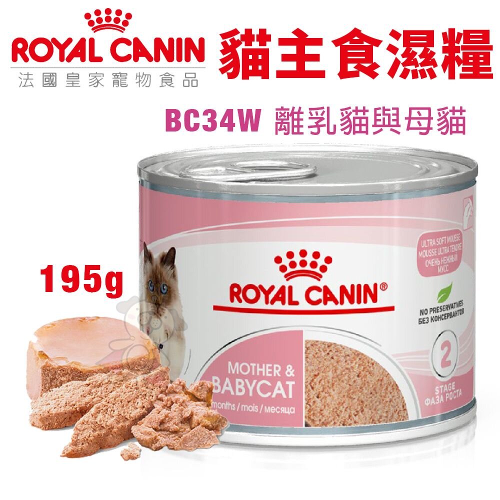 Royal Canin 法國皇家 貓主食濕糧 BC34W離乳貓與母貓 主食餐包 貓糧 貓餐包 貓餐盒 貓罐頭『WANG』-圖片-2