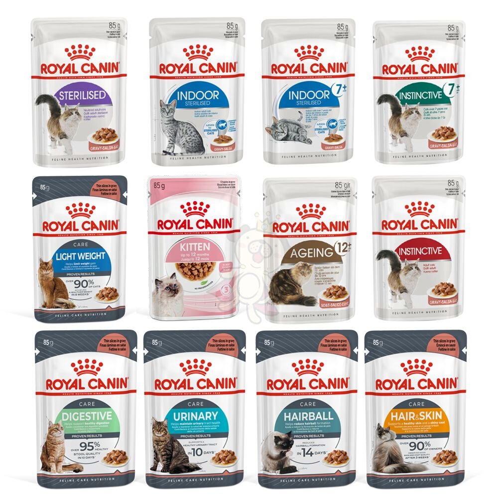 Royal Canin 法國皇家 貓咪主食餐包【12包組】貓主食濕糧 BC34W離乳貓與母貓 貓餐包 貓罐頭『WANG-圖片-1