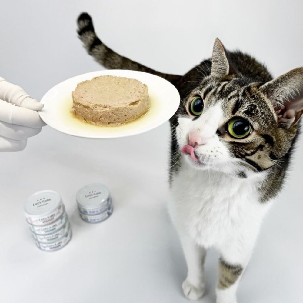 Let's Cate 凱勒 黑酵母保健營養主食貓罐【24罐組】80g 主食罐 無膠罐 貓罐 全齡貓『WANG』-圖片-4