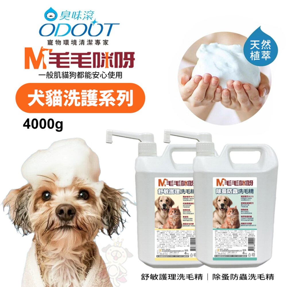 28825131371-ODOUT 臭味滾 毛毛咪呀 洗護系列 洗毛精 舒敏護理洗毛精｜除蚤防蟲洗毛精4000g 犬貓 洗毛 寵物洗澡『WANG