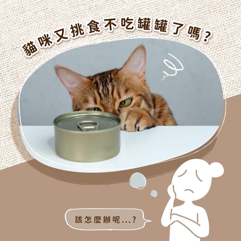 德國馬克 Mac's 無穀主食貓罐 200g【12罐組】老饕系列 主食貓罐 鮮肉罐 無穀罐 貓罐頭『WANG』-圖片-7