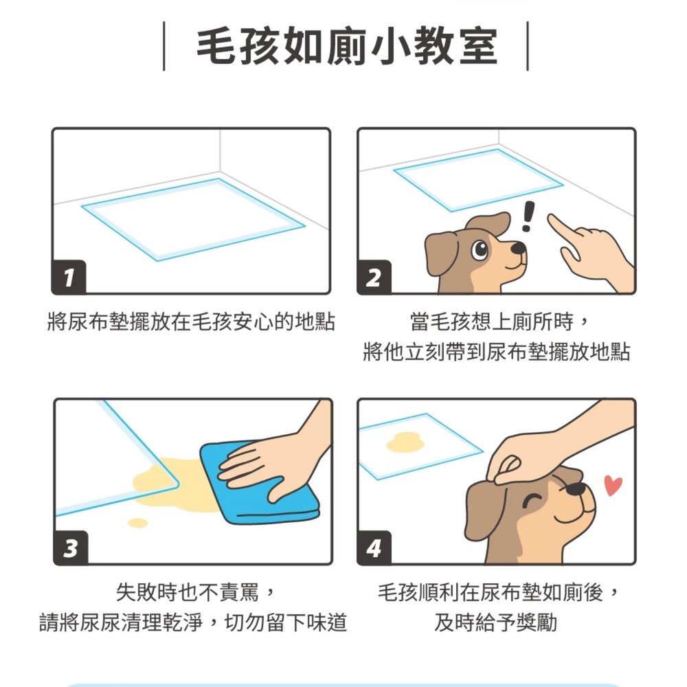 DogCatStar 汪喵星球 消臭瞬吸尿布墊 狗尿布墊 超強吸收力 尿布墊 犬用尿墊『WANG』-圖片-4