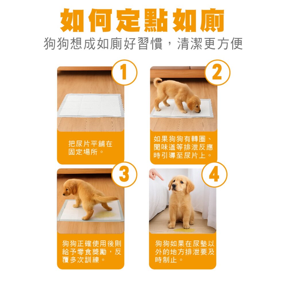 Ms.pet 厚吸尿布墊 高效除臭尿布墊【4包組免運】 狗尿布墊 超強吸收力 尿布墊 犬用尿墊『WANG』-圖片-7