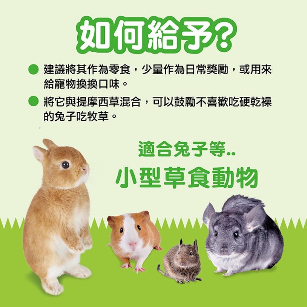 日本 GEX 小動物零食系列 青森縣手摘蘋果乾 健康食譜 木瓜凍乾 鳳梨凍乾 果泥 小動物適用『WANG』-圖片-4