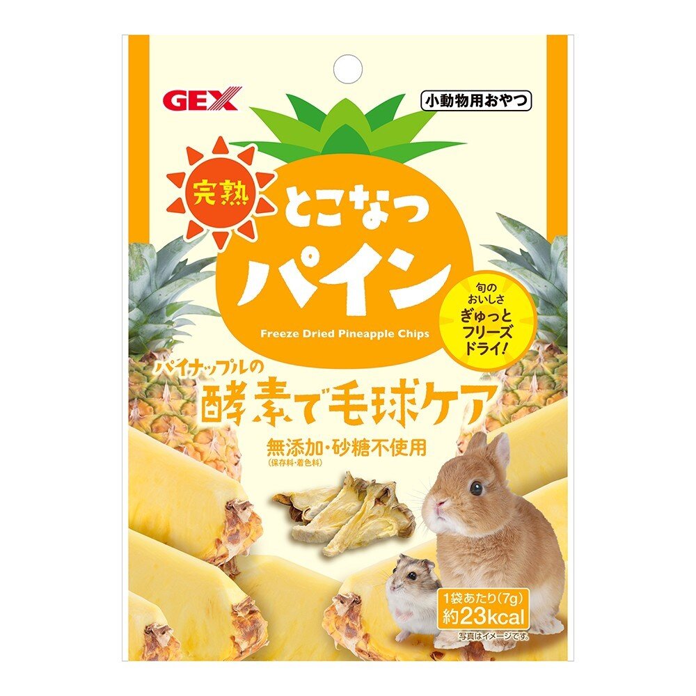 日本 GEX 小動物零食系列 青森縣手摘蘋果乾 健康食譜 木瓜凍乾 鳳梨凍乾 果泥 小動物適用『WANG』-圖片-7