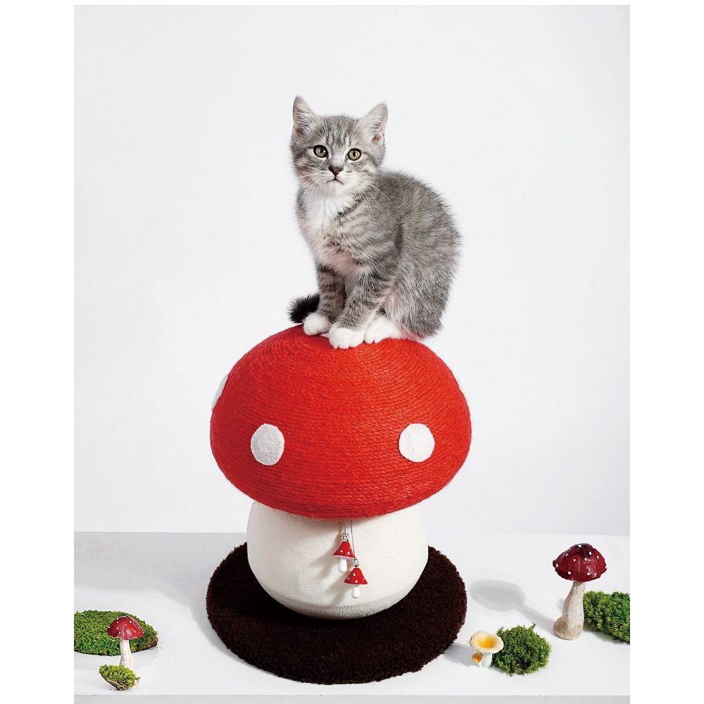 喵仙兒 造型貓抓板 月亮彎彎 耳朵翹翹 浴缸 仙人球 U型 骨型 貓巴士 奇諾菇菇 貓抓板『WANG』-圖片-5