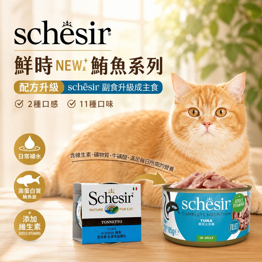 義大利 Schesir 鮮時 貓罐頭 75g/85g【單罐】 水果/鮪魚/雞肉系列 貓罐頭『WANG』-圖片-5
