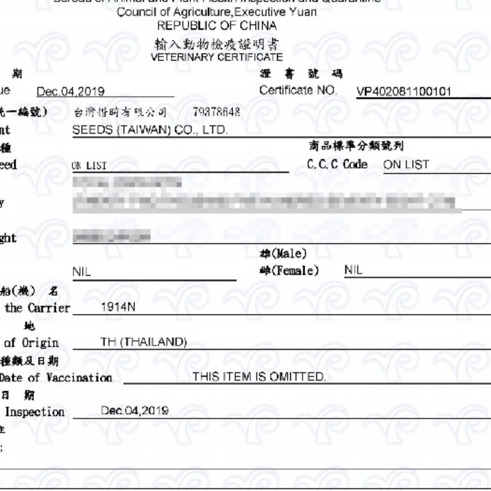 SEEDS 惜時 聖萊西 Golden Cat健康機能特級金貓罐【24罐】80g/170g 大小金罐 貓罐頭『WANG』-圖片-3