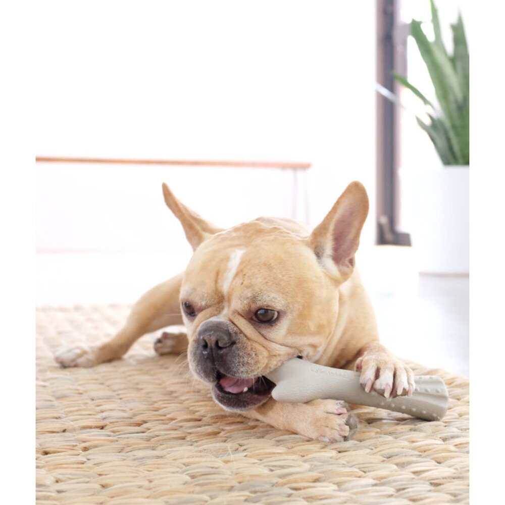 美國 Petstages 狗狗潔牙玩具 奇異鹿角 比漾咬咬骨 益智胡蘿蔔 嗶波鱷魚 猴子 益智玩具 狗玩具『WANG』-圖片-7