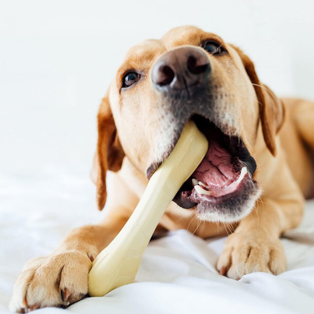 美國 Petstages 狗狗潔牙玩具 史迪克系列 BBQ 耐咬環 培根四角 耐咬 蘑菇 磨牙 啃咬 狗玩具『WANG』-圖片-2