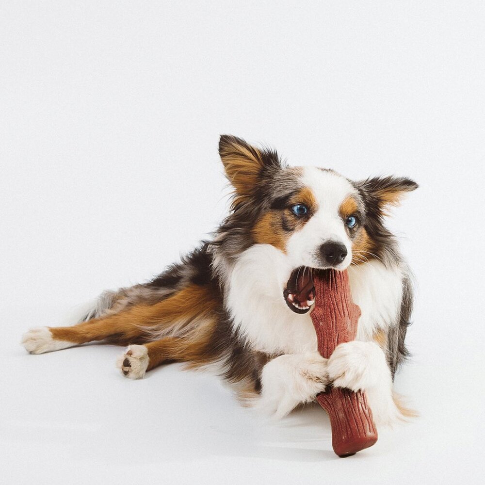 美國 Petstages 狗狗潔牙玩具 史迪克系列 BBQ 耐咬環 培根四角 耐咬 蘑菇 磨牙 啃咬 狗玩具『WANG』-圖片-3